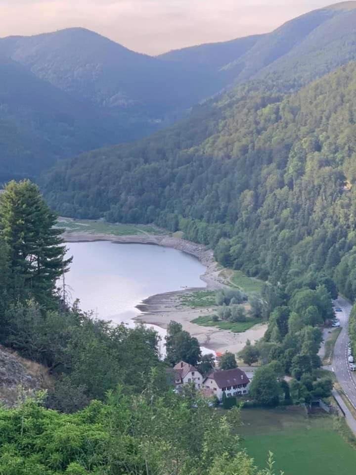 Petite Maison Au Calme Avec Jardin Cloture Les Animaux Bienvenue Mollau Bagian luar foto