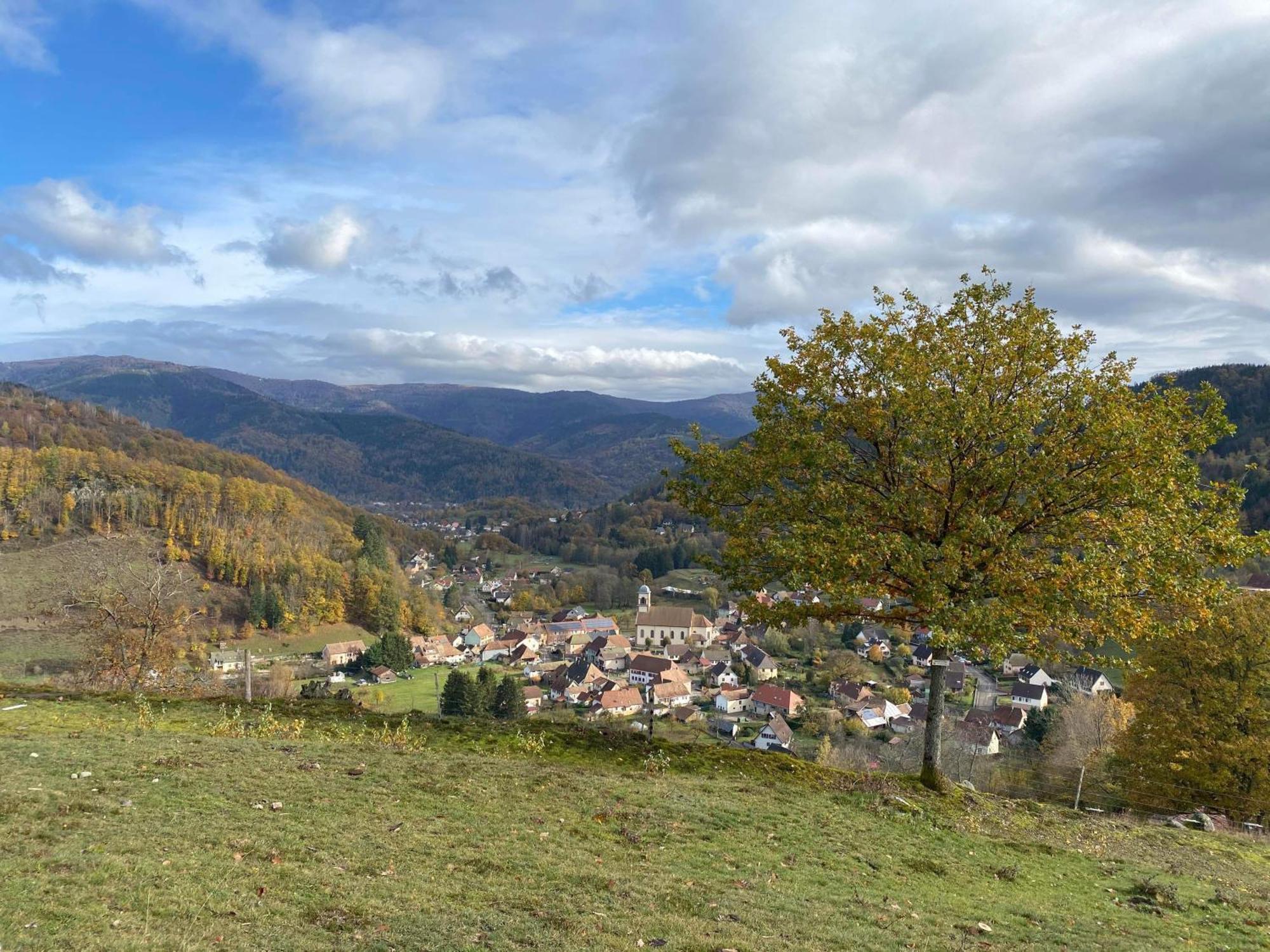 Petite Maison Au Calme Avec Jardin Cloture Les Animaux Bienvenue Mollau Bagian luar foto